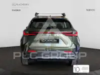 2025 Lexus NX250