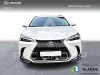 2025 Lexus NX250