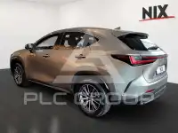 2025 Lexus NX250