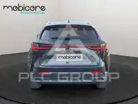2025 Lexus NX250
