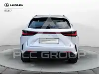2025 Lexus NX250