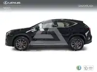 2025 Lexus NX250