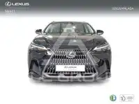 2025 Lexus NX250