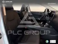 2025 Lexus NX250