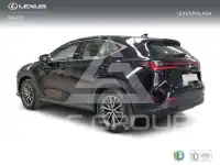 2025 Lexus NX250