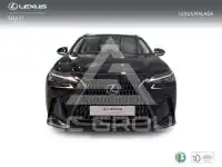 2025 Lexus NX250