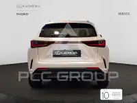 2025 Lexus NX250