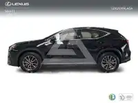 2025 Lexus NX250