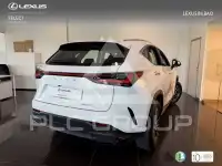 2025 Lexus NX250