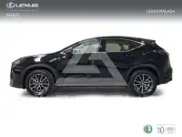2025 Lexus NX250