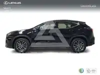 2025 Lexus NX250