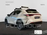 2025 Lexus NX250