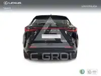 2025 Lexus NX250