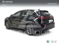 2025 Lexus NX250