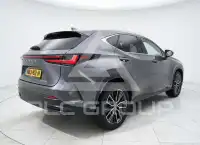 2025 Lexus NX250
