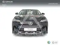 2025 Lexus NX250