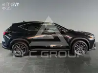 2025 Lexus NX250