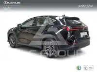 2025 Lexus NX250