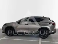 2025 Lexus NX250