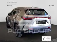 2025 Lexus NX250