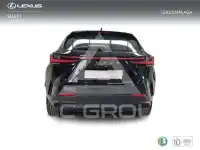 2025 Lexus NX250