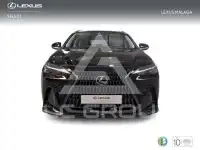 2025 Lexus NX250