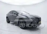 2025 Lexus NX250