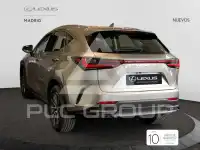 2025 Lexus NX250