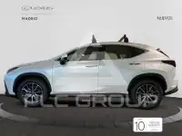 2025 Lexus NX250
