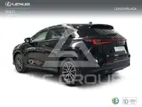 2025 Lexus NX250