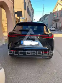 2025 Lexus NX250