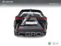 2025 Lexus NX250