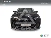 2025 Lexus NX250