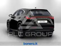2025 Lexus NX250