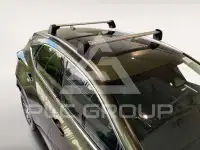 2025 Lexus NX250