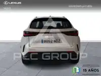 2025 Lexus NX250