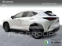 2025 Lexus NX250