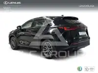 2025 Lexus NX250