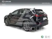 2025 Lexus NX250
