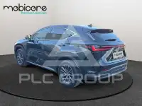 2025 Lexus NX250