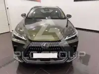 2025 Lexus NX250
