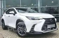 2025 Lexus NX250