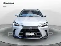 2025 Lexus NX250
