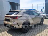 2025 Lexus NX250