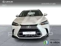 2025 Lexus NX250
