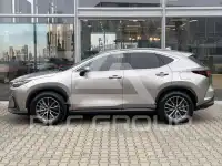 2025 Lexus NX250