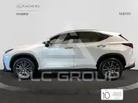 2025 Lexus NX250