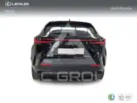 2025 Lexus NX250