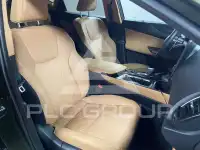 2025 Lexus NX250