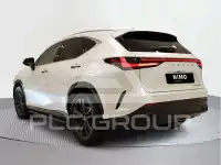 2025 Lexus NX250